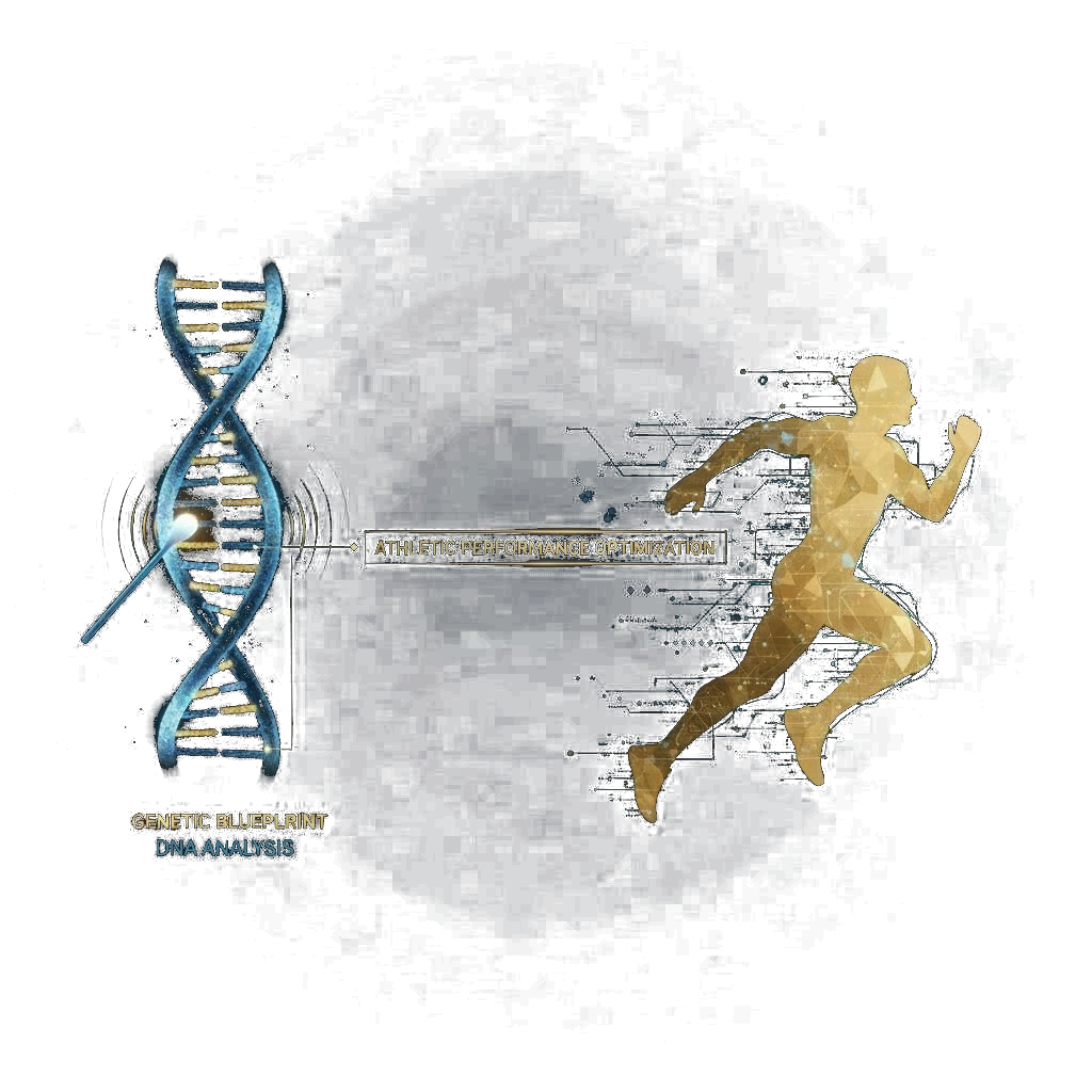 Genetic Blueprint — DNA Analysis for Athletic Performance Optimization